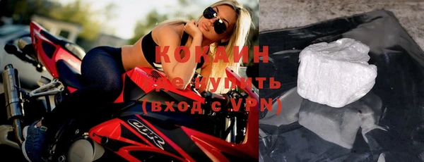 ПСИЛОЦИБИНОВЫЕ ГРИБЫ Верея