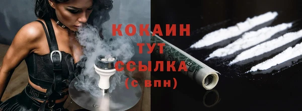 прущие грибы Саяногорск