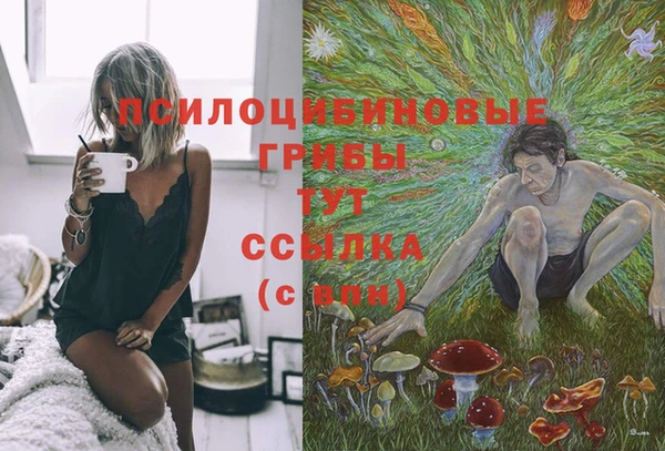 дурь Волоколамск