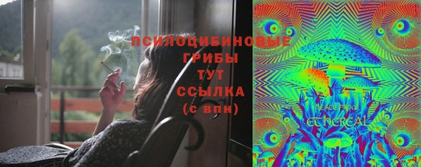 ПСИЛОЦИБИНОВЫЕ ГРИБЫ Верея