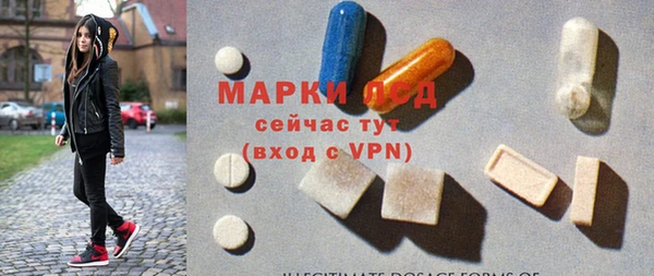 ПСИЛОЦИБИНОВЫЕ ГРИБЫ Верея
