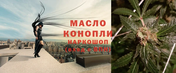 ПСИЛОЦИБИНОВЫЕ ГРИБЫ Верея