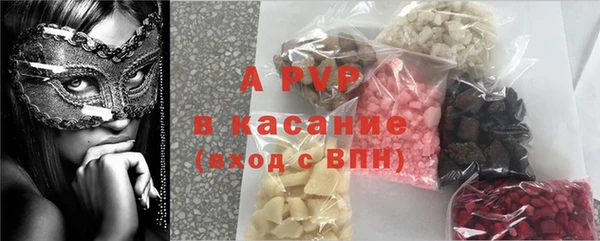 ПСИЛОЦИБИНОВЫЕ ГРИБЫ Верея