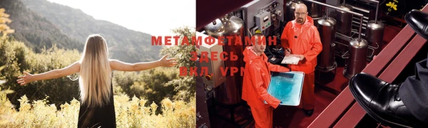 ПСИЛОЦИБИНОВЫЕ ГРИБЫ Верея