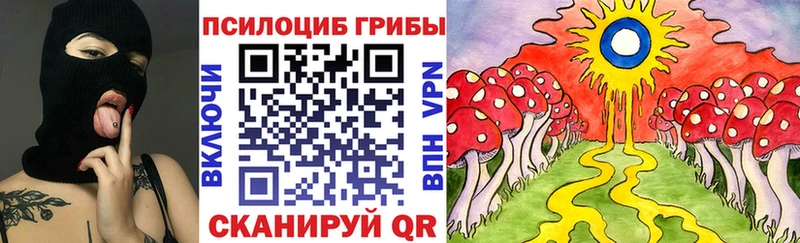 купить закладку  Луза  мега ONION  площадка клад  Галлюциногенные грибы Psilocybine cubensis 