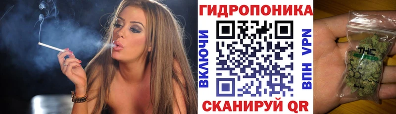 где найти наркотики Луза Каннабис сатива